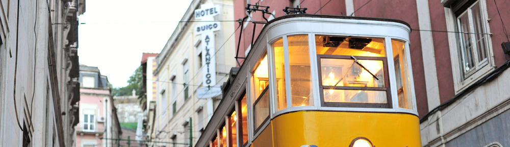 Wellness & Healthy Lifestyle Blog