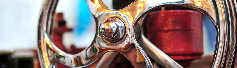 Wellness & Healthy Lifestyle Blog